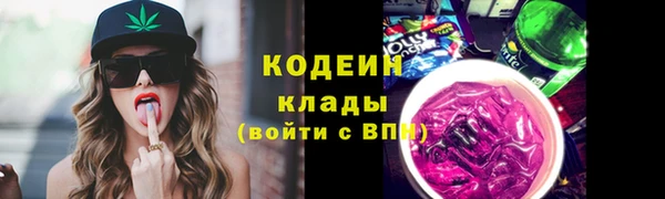 молекула духа Карпинск